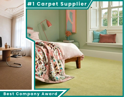 seagrass carpets in Dubai Marina